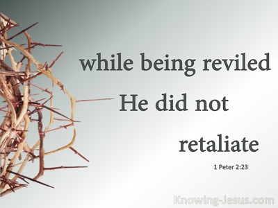 1 Peter 2:23 While Being Reviled He Did Not Revile In Return (sage)